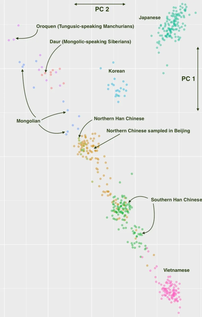 ¡asian genetics.webp
