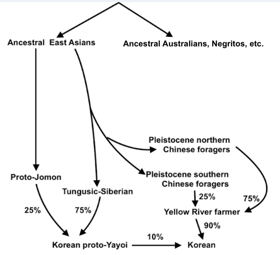 ¡genetic paths of Koreans.webp|600