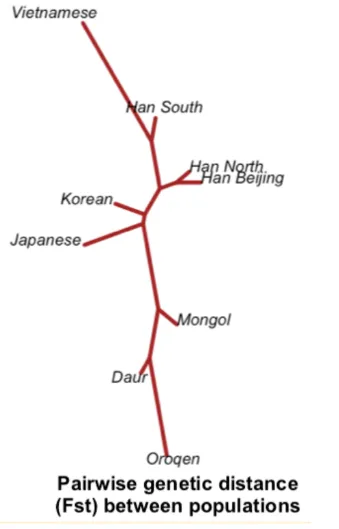 ¡pairwise genetic distance between populations.webp|422