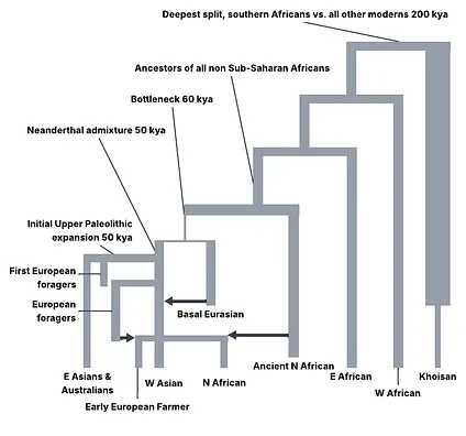 2026-01-04 ¡A tree with many branches.png