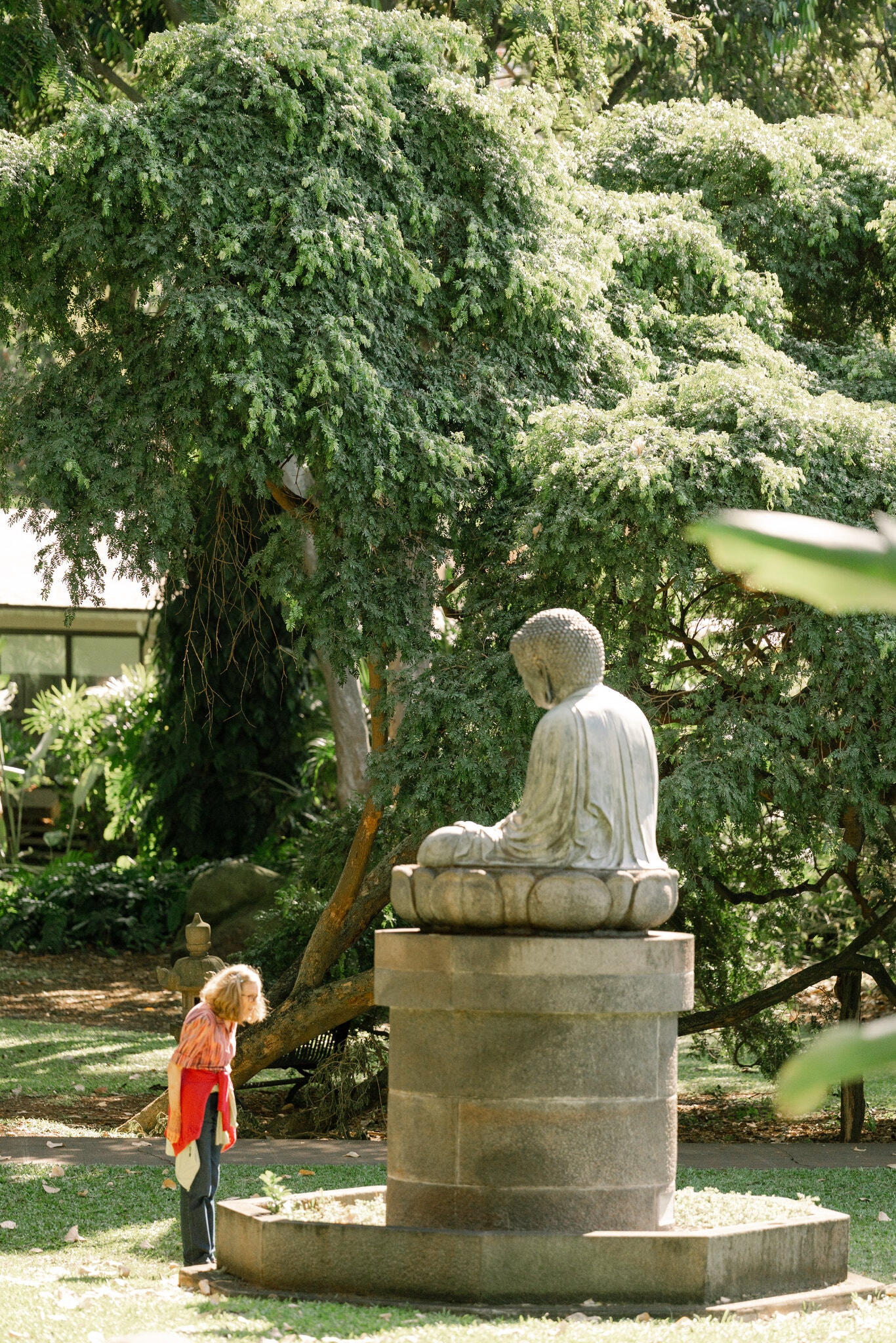 2026-02-28 ¡27trav-cheapskate-honolulu-01-jzbt-superJumbo.jpg