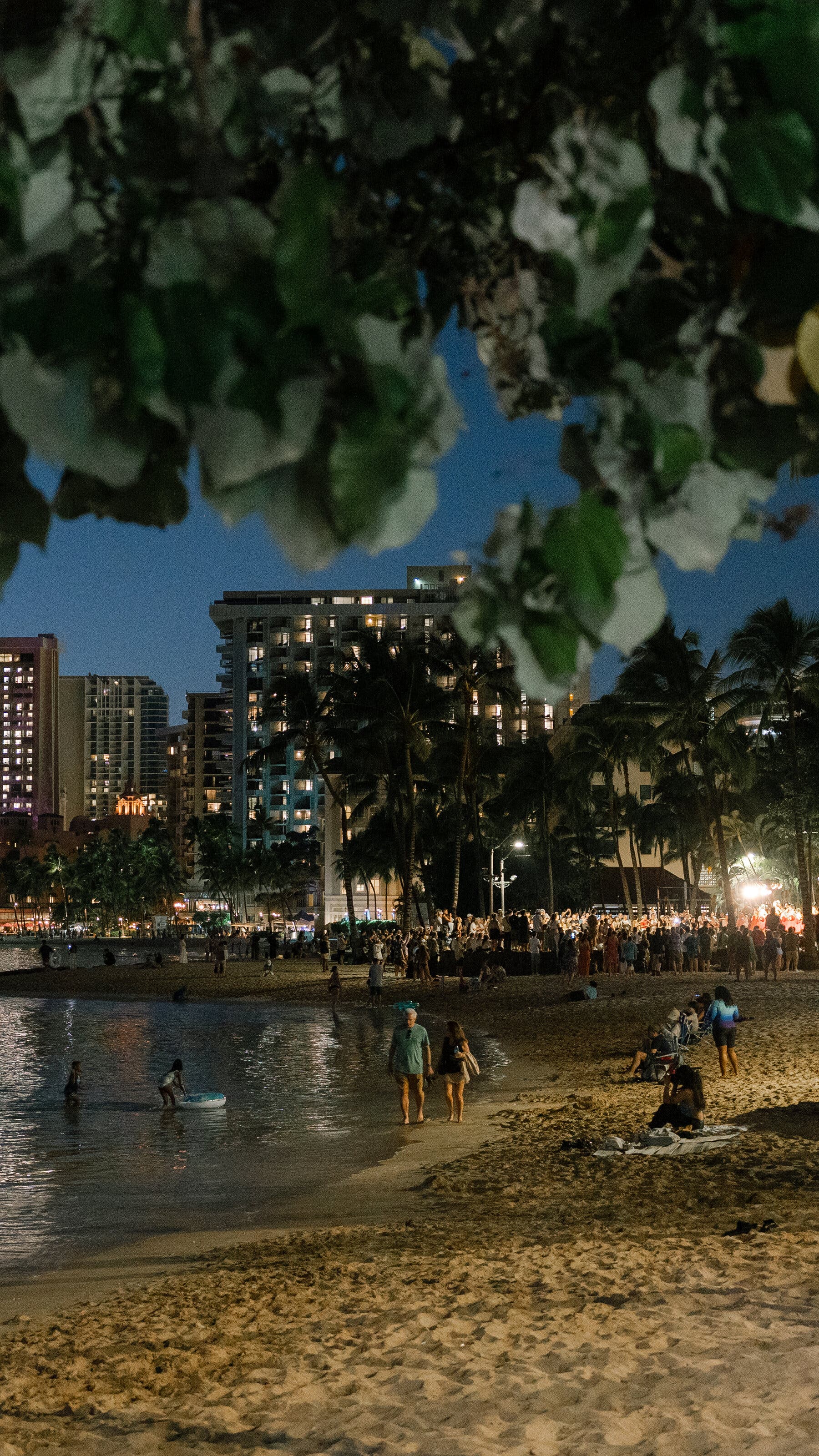 2026-02-28 ¡27trav-cheapskate-honolulu-qgmw-mobileMasterAt3x.jpgDark leaves and palm tree trunks frame a beach at dusk. People wade in the water and stand on the sand, with illuminated buildings in the background.