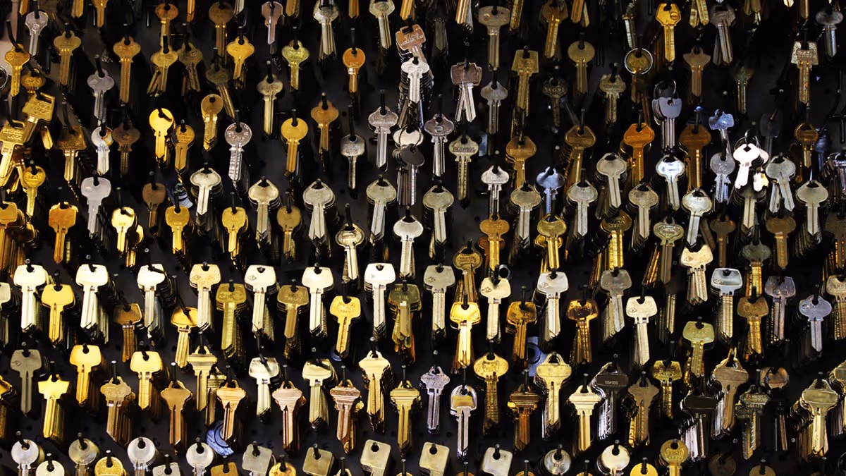 2026-04-14 ¡many keys.jpg